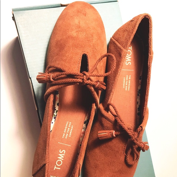 toms dark amber suede